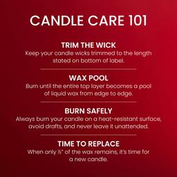 Yankee Candle® 22oz. Macintosh Jar Candle