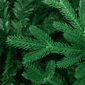 Northlight Real Touch™ 7ft. Full Alamosa Fir Christmas Tree - image 6