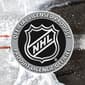 Franklin® GFM 1500 NHL Stars Goalie Face Mask - image 8