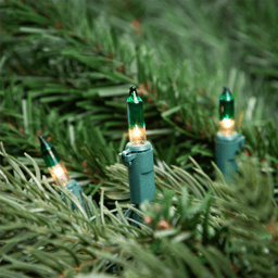 Northlight 20.25ft. Mini Clear w/ Green Tips Christmas Light Set
