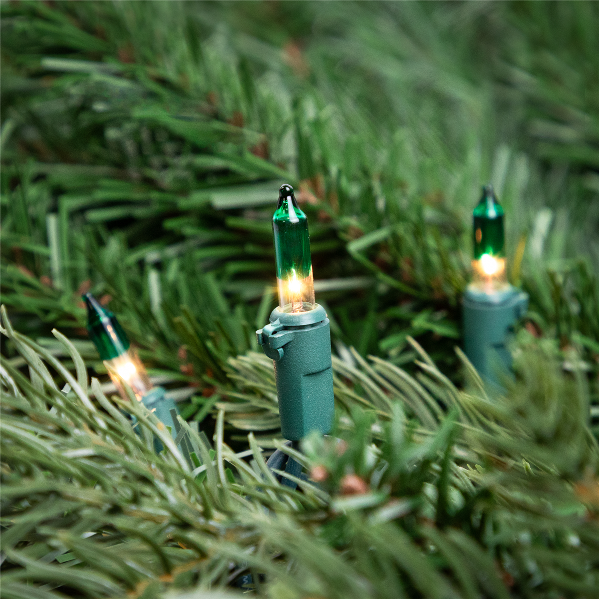 Northlight 20.25ft. Mini Clear w/ Green Tips Christmas Light Set