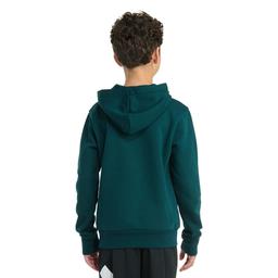 Boys (8-20) adidas® Graphic Pullover Hoodie - Green