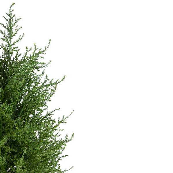 Northlight Seasonal 3ft. Artificial Cedar Pine Arborvitae Tree