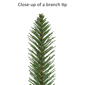 Puleo International 20ft. Berkshire Fir Garland - image 5