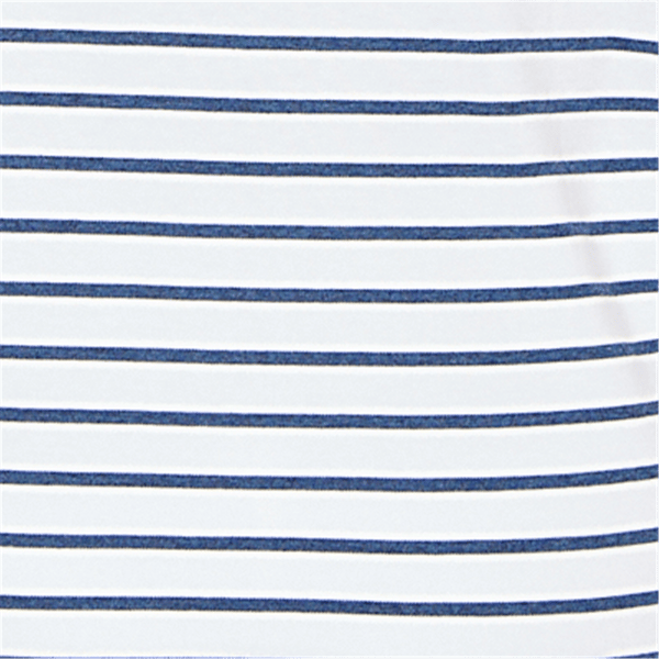 Plus Size Alfred Dunner Classics 3/4 Sleeve Stripe Bird Blouse