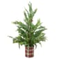 Northlight Real Touch(tm) Potted Iced Cedar Christmas Tree - image 1