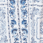 Plus Size Ruby Rd. French Riviera Short Sleeve Floral Blouse - image 6