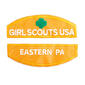 Girl Scouts Daisy Eastern PA Council ID Set - image 1