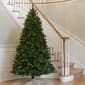 National Tree 7ft. North Valley Spruce Christmas Tree - image 2