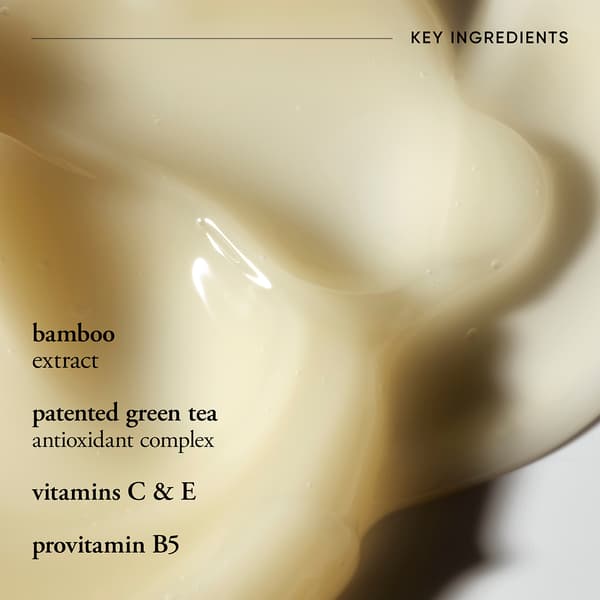 Philosophy 4.7oz. Purity Oil-Free Moisturizer