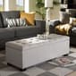 Baxton Studio Roanoke Modern & Contemporary Storage Ottoman - image 1