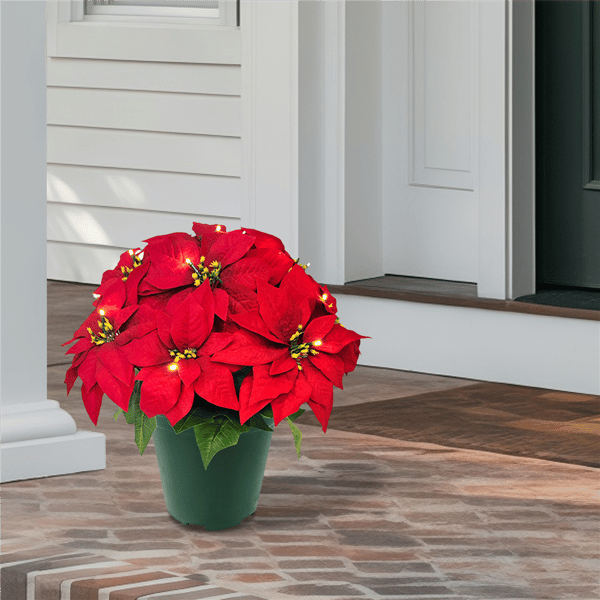 Puleo International 19in. Pre-Lit Potted Red Poinsettias