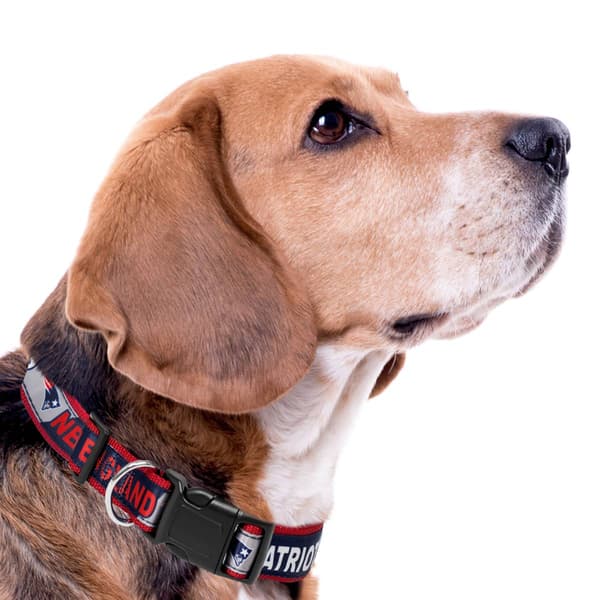 NFL New England Patriots Dog Collar