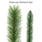 Puleo International 48in. Spruce Wreath - image 5