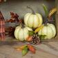 Northlight Seasonal Artificial White Harvest Pumpkins - Set of 3 - image 2