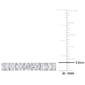 Gemstone Classics™ 2 1/2kt. Dew Moissanite Eternity Band - image 4