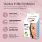 Godefroy Instant Eyebrow Tint - image 4