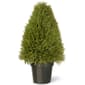 National Tree 30in Upright Juniper w/Green Pot - image 1