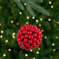 Northlight Seasonal Berries Christmas Ball Ornament - image 6
