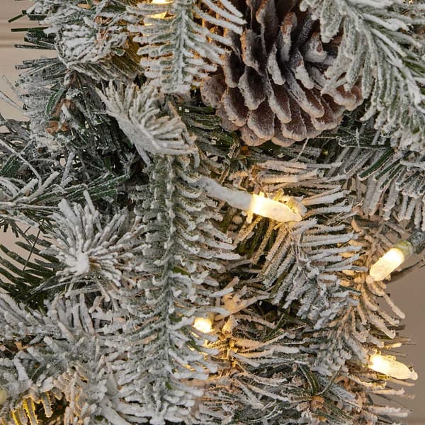 Seasonal LLC LED Lexington Fir 24in. Artificial Christmas Wreath