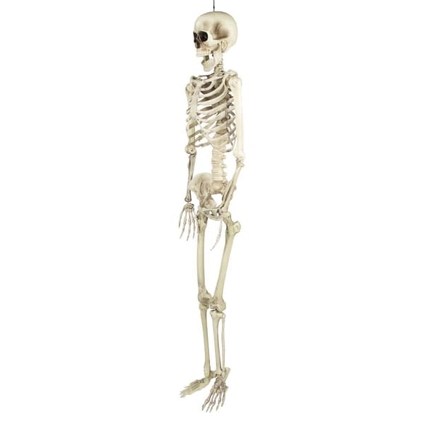 Northlight Seasonal 5ft. Life Size Skeleton Halloween Decoration