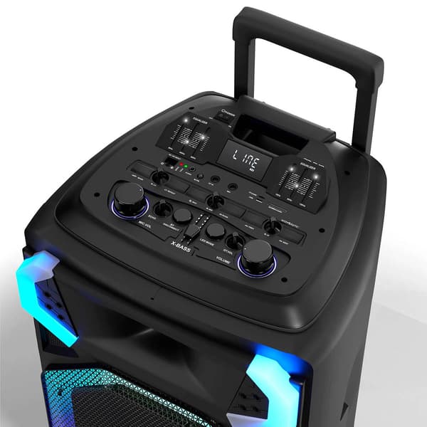 Dolphin 15in. Party Speaker with Light