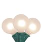 Northlight Seasonal Frosted White G50 Globe Patio Lights Set - image 1