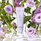 Voesh Lavender Land Vegan Body Cr&#232;me - image 4