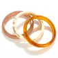Ashley Cooper&#40;tm&#41; 3pc. Resin Natural Bangle Bracelets - image 1