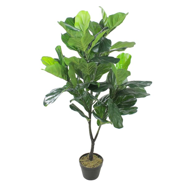 Northlight Seasonal 4ft. Unlit Artificial Fiddle Leaf Fig Tree