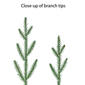 Puleo International 3ft. Pre-Lit Christmas Tree in Burlap Sac - image 6