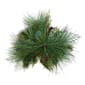 Kurt S. Adler 24in. Berries & Plaid Ribbon Pine Tree - image 6