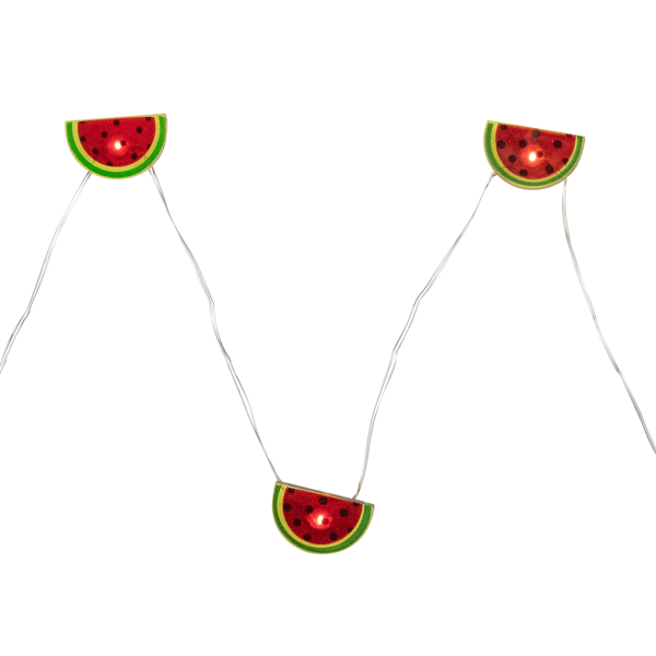 Northlight LED Watermelon Fairy Lights, 10ct