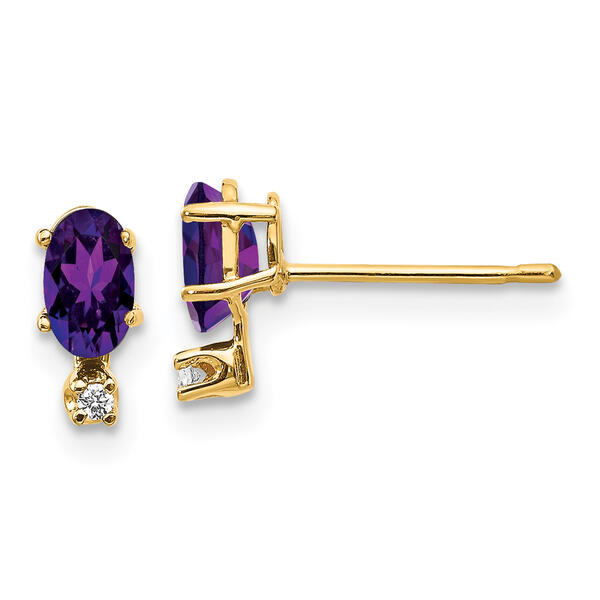 Gemstone Classics&#40;tm&#41; 14kt. Yellow Gold February Birthstone Earrings - image 