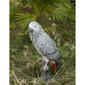 Hi-Line Gift Gabon Parrot On Stump Garden Statue - image 6