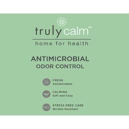 Truly Calm Antimicrobrial Down Alternative Pillows