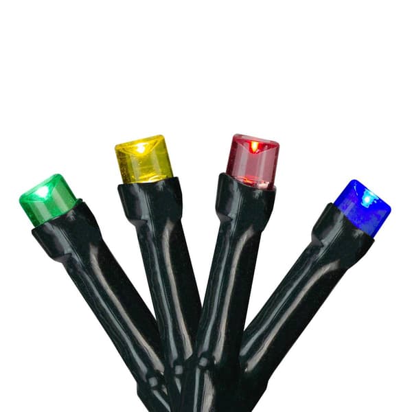 Northlight Seasonal 20ct. Black Wire LED Christmas Lights