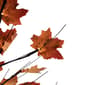 Northlight Seasonal 6ft. LED  Autumn Harvest Maple Leaf Tree - image 4