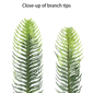 Puleo International 4.5ft. Pre-Lit Aspen Fir Christmas Tree - image 7