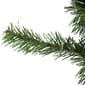 Northlight Seasonal Canadian Pine Artificial Christmas Wreath - image 2
