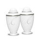 Noritake Platinum Wave Salt &amp; Pepper Set - image 1