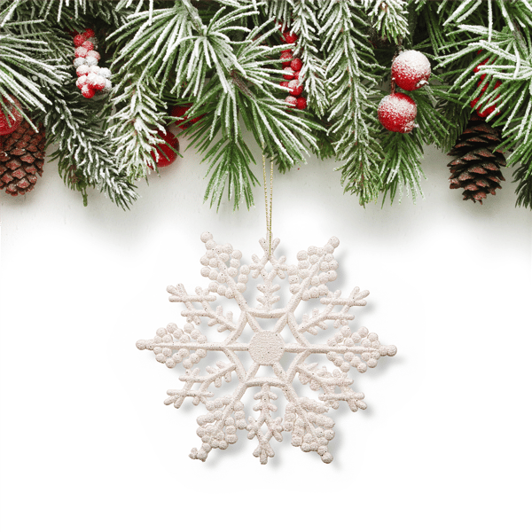 Northlight 24ct. Glitter White Snowflake Christmas Ornaments