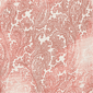 Womens Skye’s the Limit Key Items Cap Sleeve Faded Paisley Tee - image 6