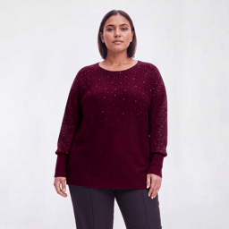 Plus Size Emily Daniels Dolman Sleeve Crew Neck Bling Rib Sweater