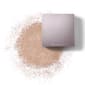 Elizabeth Arden Powder Blush for Cheeks - image 2