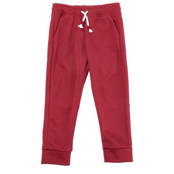 Toddler Boy Tales & Stories Performance Joggers