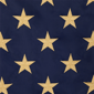 Northlight Patriotic Tea-Stained Embroidered Outdoor House Flag - image 3