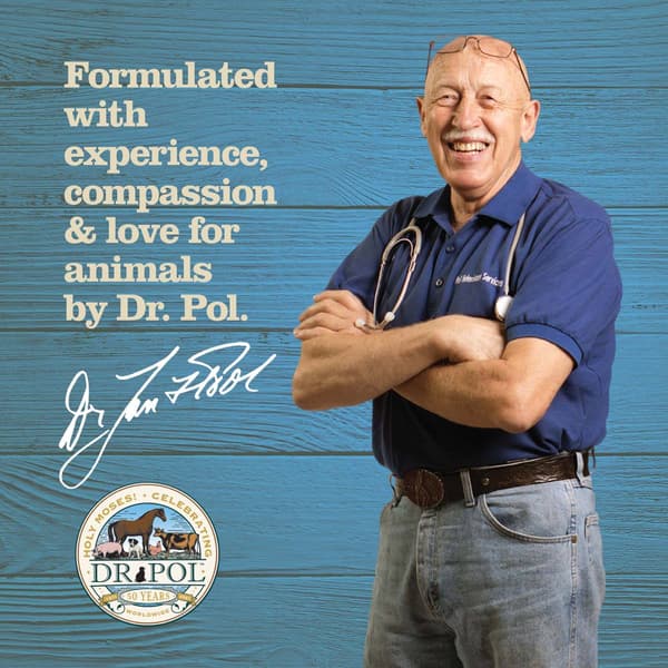 Dr. Pol Dental Wipes for Dogs & Cats 50 Count