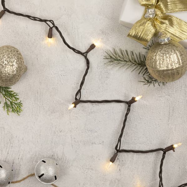 Northlight Seasonal 11.25ft. Clear Christmas Lights - Brown Wire