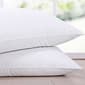 Firefly Twin Pack White Goose Nano Down and Feather Blend Pillows - image 3